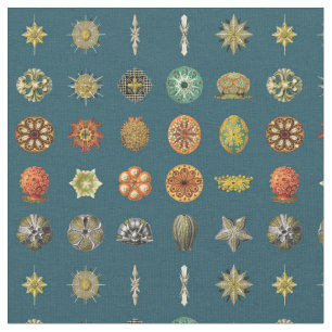 Ocean Jewels van Ernst Haeckel Stof