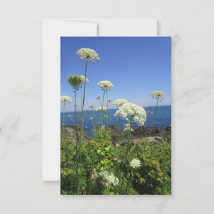 Ocean Lace Note-Kaart Bedankkaart