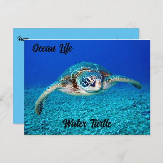 Ocean Life Water Turtle Briefkaart (Voorkant / Achterkant)