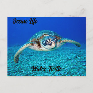 Ocean Life Water Turtle Briefkaart