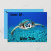 Ocean Life Water Turtle Briefkaart (Voorkant / Achterkant)