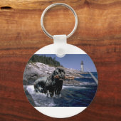 Ocean Newf Sleutelhanger (Voorkant)