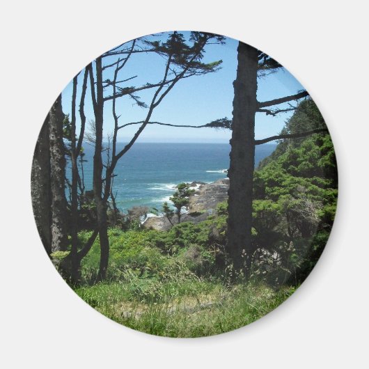 océan, oregon, aimant (Devant)