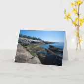 Ocean Point - Blank Note Card Kaart (Gele Bloem)