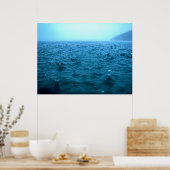 Ocean Rain Druppels Poster (Keuken)