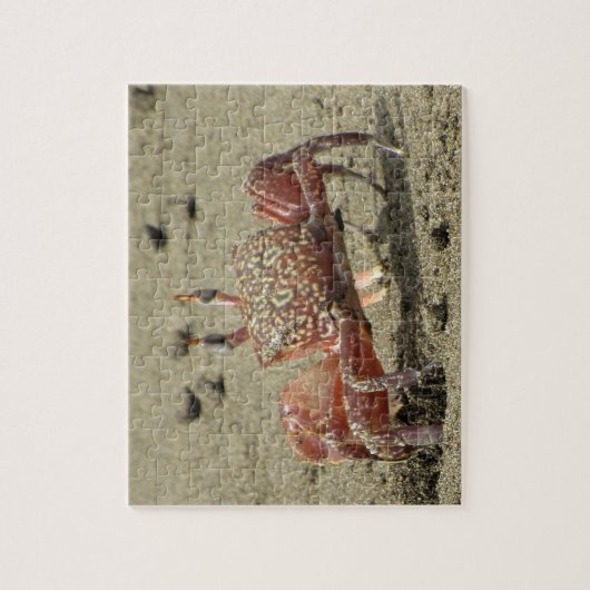 Ocean Sand Crab Legpuzzel (Verticaal)