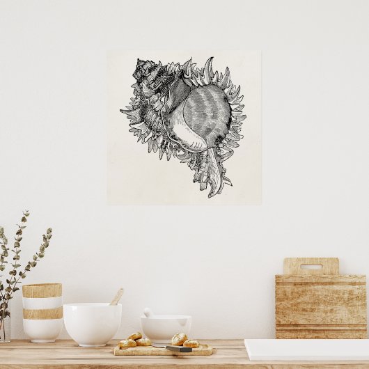  Ocean Seashell Shell Persoonlijke Sjabloon Poster (Keuken)