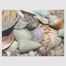 Ocean Seashells deduplicatiedocument Tissuepapier