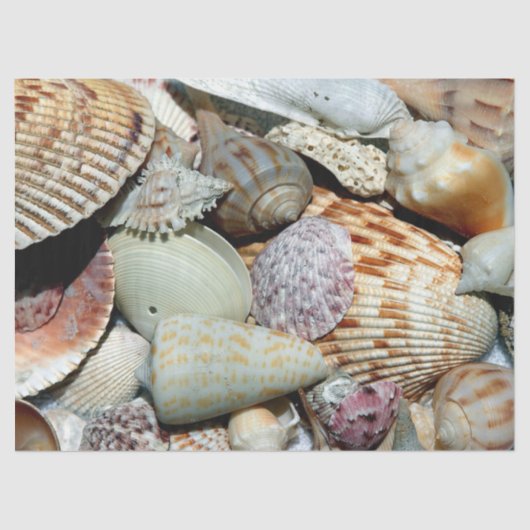 Ocean Seashells deduplicatiedocument Tissuepapier (Voorkant)