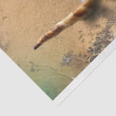 Ocean Seashells op Beach ontkoppeling Tissuepapier (Detail)