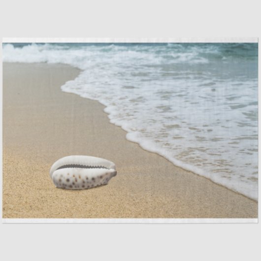 Ocean Shore Seashell-deportpapier Tissuepapier (Voorkant)