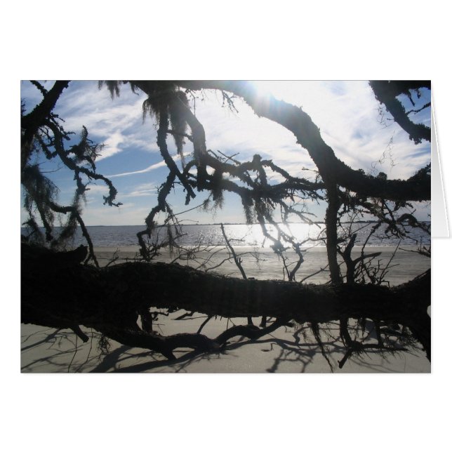 Ocean Sunset (Voorkant Horizontaal)