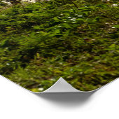 Ocean Waves Zee Caribbean USVI Beach Poster (Hoek)