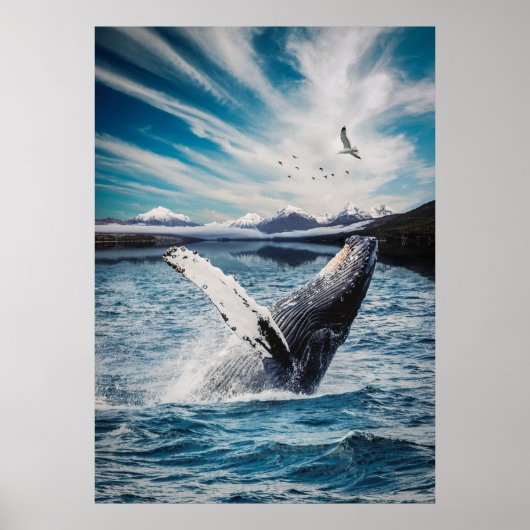 Ocean Whale Poster (Voorkant)