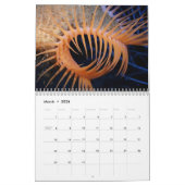 Ocean Wildlife fotografie Agenda Kalender (Mar 2026)