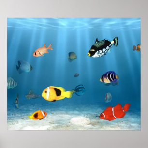 oceanen van vis poster