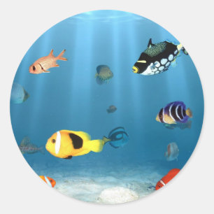 oceanen van vis ronde sticker