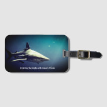 Oceanic Blacktip Shark Onderwater