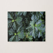 Oceanië, het zuidelijke deel van de Stille Oceaan, Legpuzzel (Horizontaal)