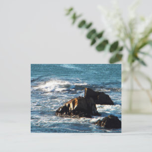 Oceano Beach avec Rocks California Carte postale