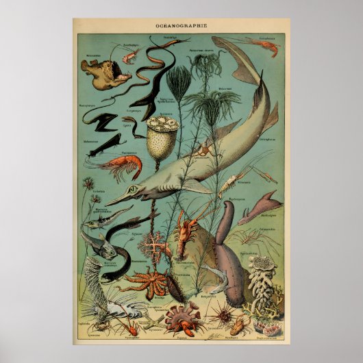 Oceanografia Adolphe Millot Le Larousse Pour Tous Poster (Voorkant)
