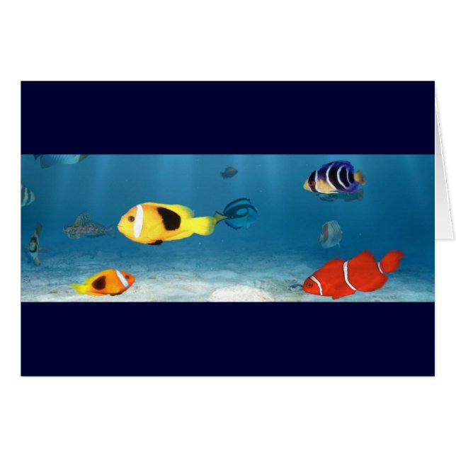 Océans des poissons (Devant Horizontal)