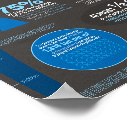 Oceans Info Poster (Hoek)