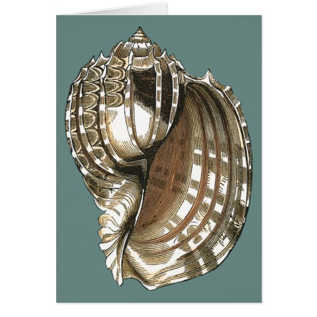 Ocean's Jewel (Voorkant)