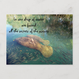 Ocean's Quote Briefkaart