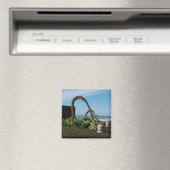 Oceanside,Ca Magneet (Insitu (Vaatwasser))