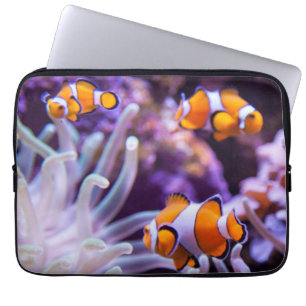 Ocellaris Clownfish Amphiprion Ocellaris Laptop Sleeve