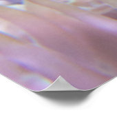 Ocellaris Clownfish | Amphiprion Ocellaris Poster (Hoek)