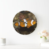 Ocellaris Clownfish Grote Klok (Huis)