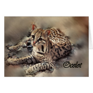 Ocelot