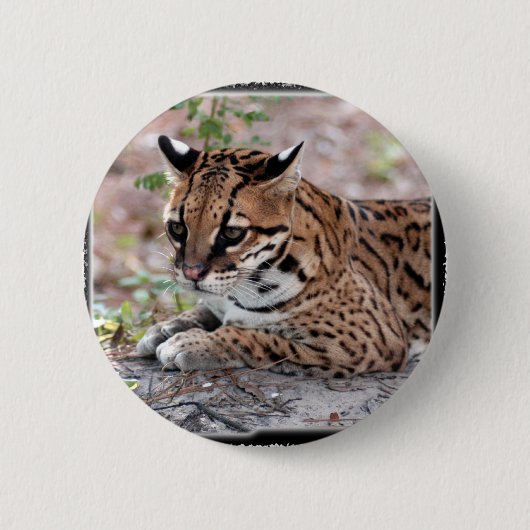 Ocelot 01 11x11 ronde button 5,7 cm (Voorkant)