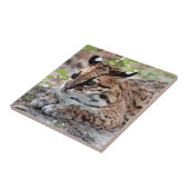 Ocelot 02 9x9 tegeltje (Zijkant)
