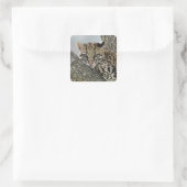 Ocelot, Felis pardalis, gevangenschap, vrouw dat r Vierkante Sticker (Tas)