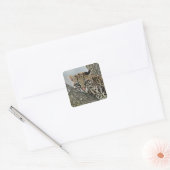 Ocelot, Felis pardalis, gevangenschap, vrouw dat r Vierkante Sticker (Envelop)