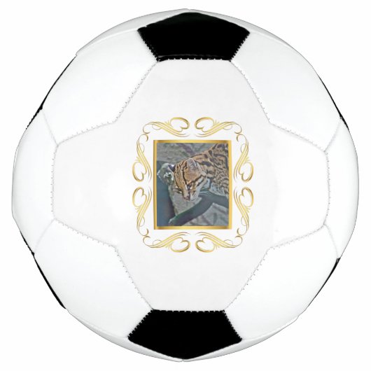 Ocelot Framed Voetbal (Voorkant)