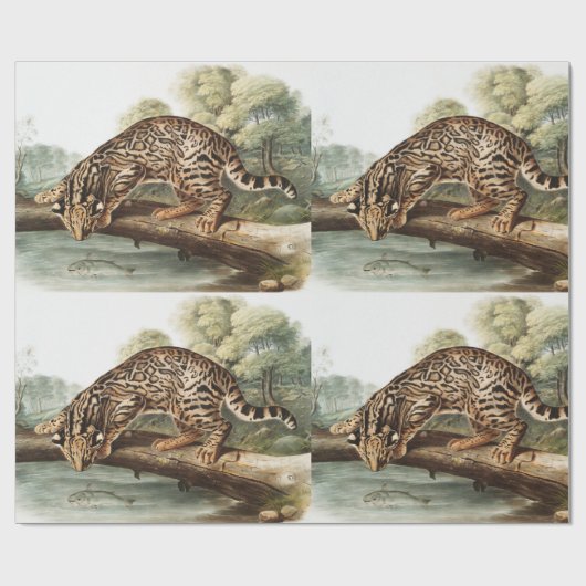 Ocelot, Leopard Cat (Felis pardalis) Illustratie Cadeaupapier (Vlak)