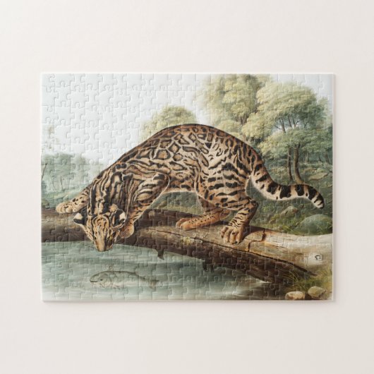 Ocelot, Leopard Cat (Felis pardalis) Illustratie Legpuzzel (Horizontaal)