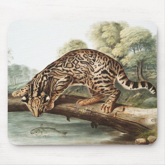 Ocelot, Leopard Cat (Felis pardalis) Illustratie Muismat (Voorkant)