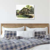Ocelot, Leopard-Cat (Leopardus pardalis) - Audubon Canvas Afdruk (Insitu (Slaapkamer))