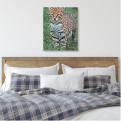 OCELOT Leopardus pardalis) CENTRAAL AMERIKA Canvas Afdruk (Insitu (Slaapkamer))