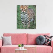 OCELOT Leopardus pardalis) CENTRAAL AMERIKA Canvas Afdruk (Insitu (Woonkamer))