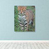 OCELOT Leopardus pardalis) CENTRAAL AMERIKA Canvas Afdruk (Insitu (Houten vloer))