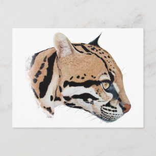 Ocelot Portrait Briefkaart