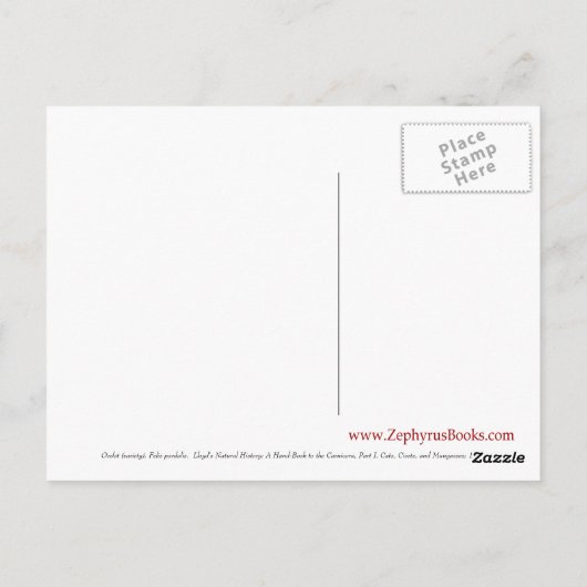 Ocelot (variëteit) briefkaart (Achterkant)