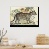 Ocelot (variëteit) poster (Keuken)
