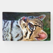 Ocelot - Wild Mini Jaguar Spandoek (Horizontaal)